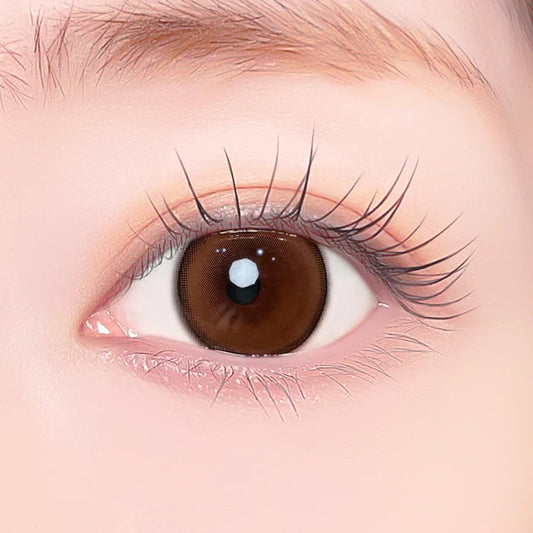 【預購】Refrear X A-eye Refined Brown 1 Day 十片裝