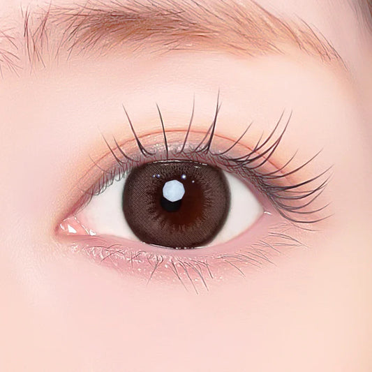 【預購】Refrear X A-eye Nova Greige 1 Day 十片裝