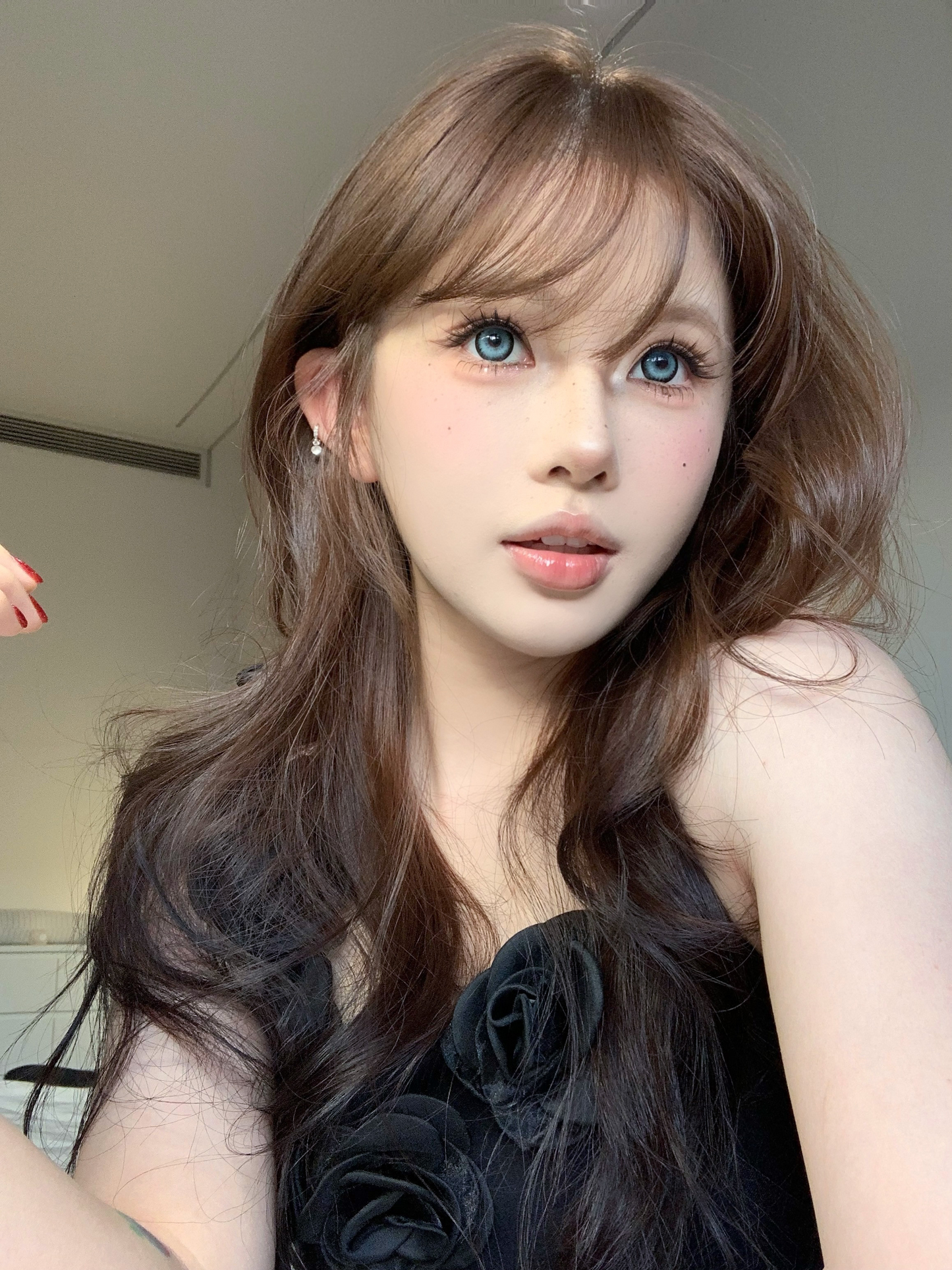 Kirafairy Ariel Gray 黑羚羊灰 6-Months 一片裝