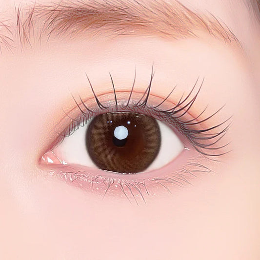 【預購】Refrear X A-eye Yeppi Brown 1 Day 十片裝