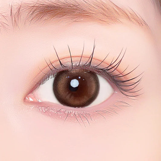 【預購】Refrear X A-eye Blink Brown 1 Day 十片裝