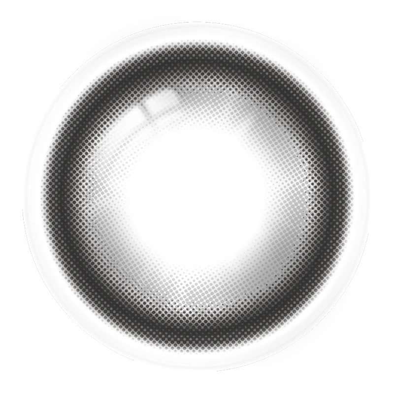 【預購】Refrear X A-eye Magnetic Gray 1 Day 十片裝