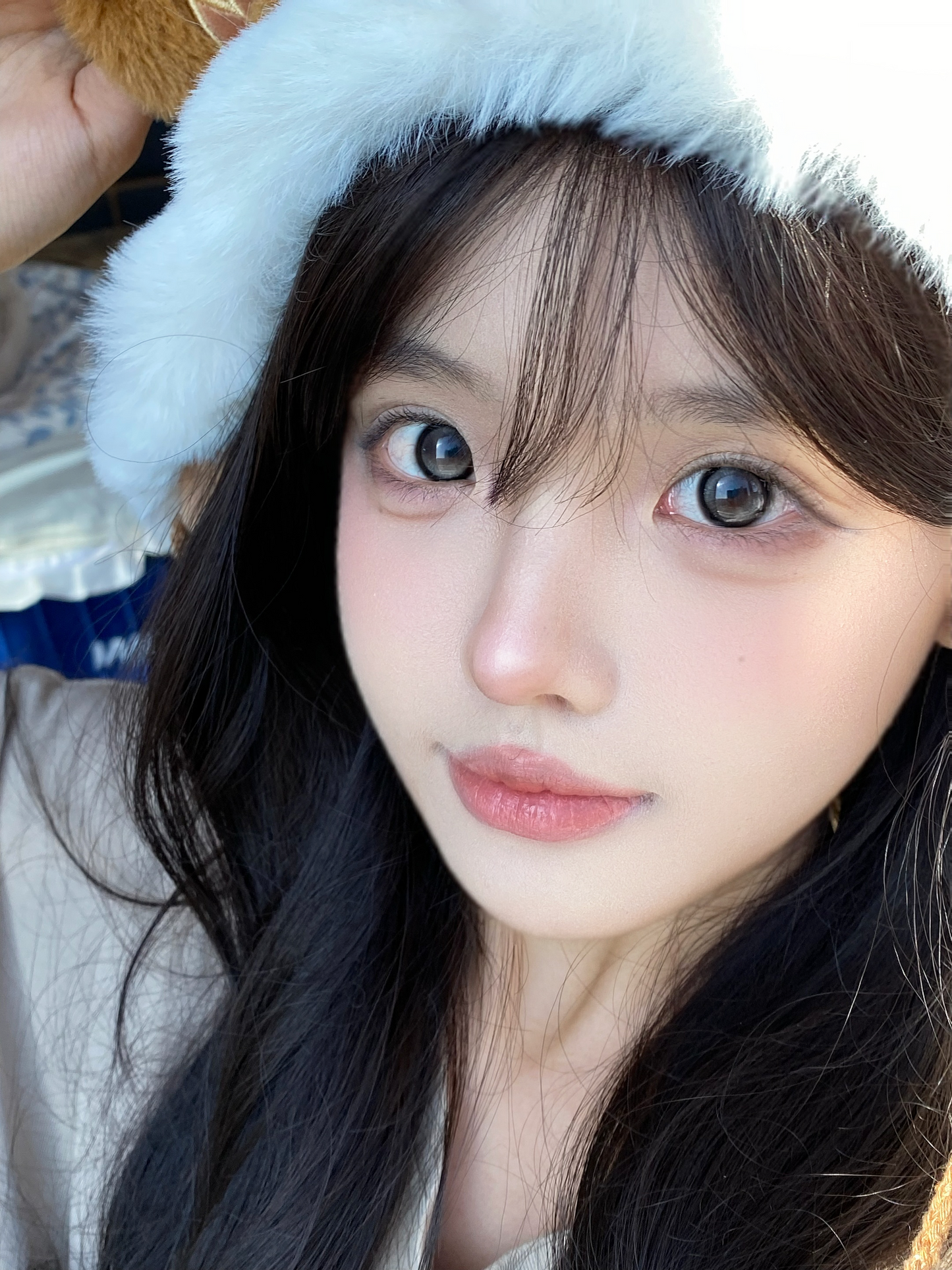 Doragina Oioi Gray 迷路月光
