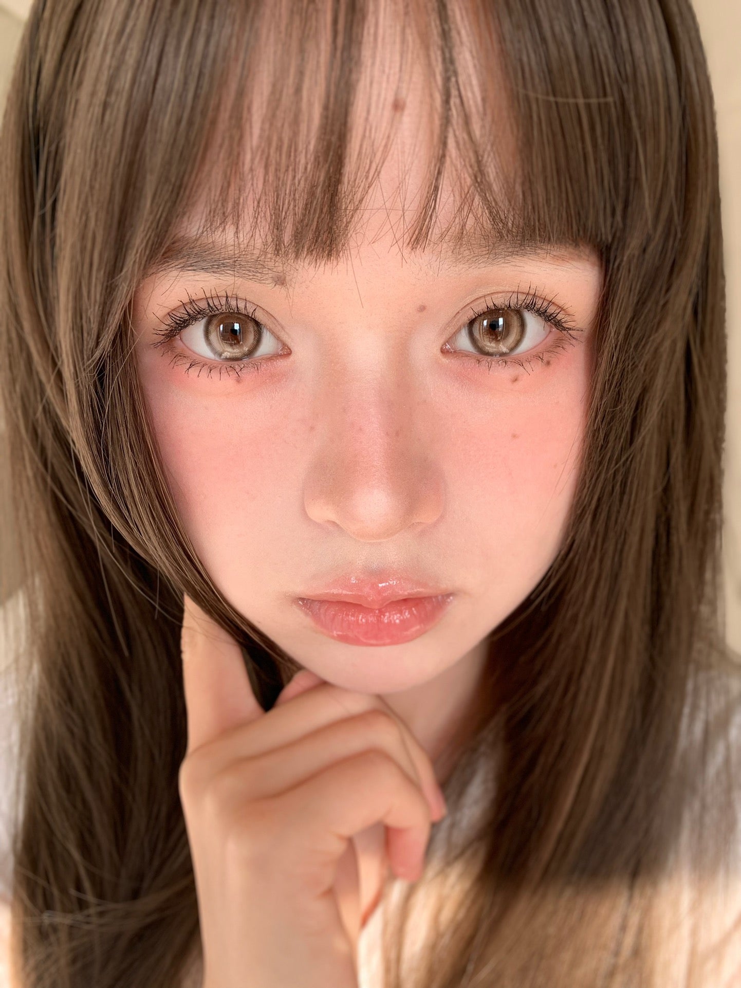Clairecolor Navy Brown 奶棕凍凍 1 Year 一片裝