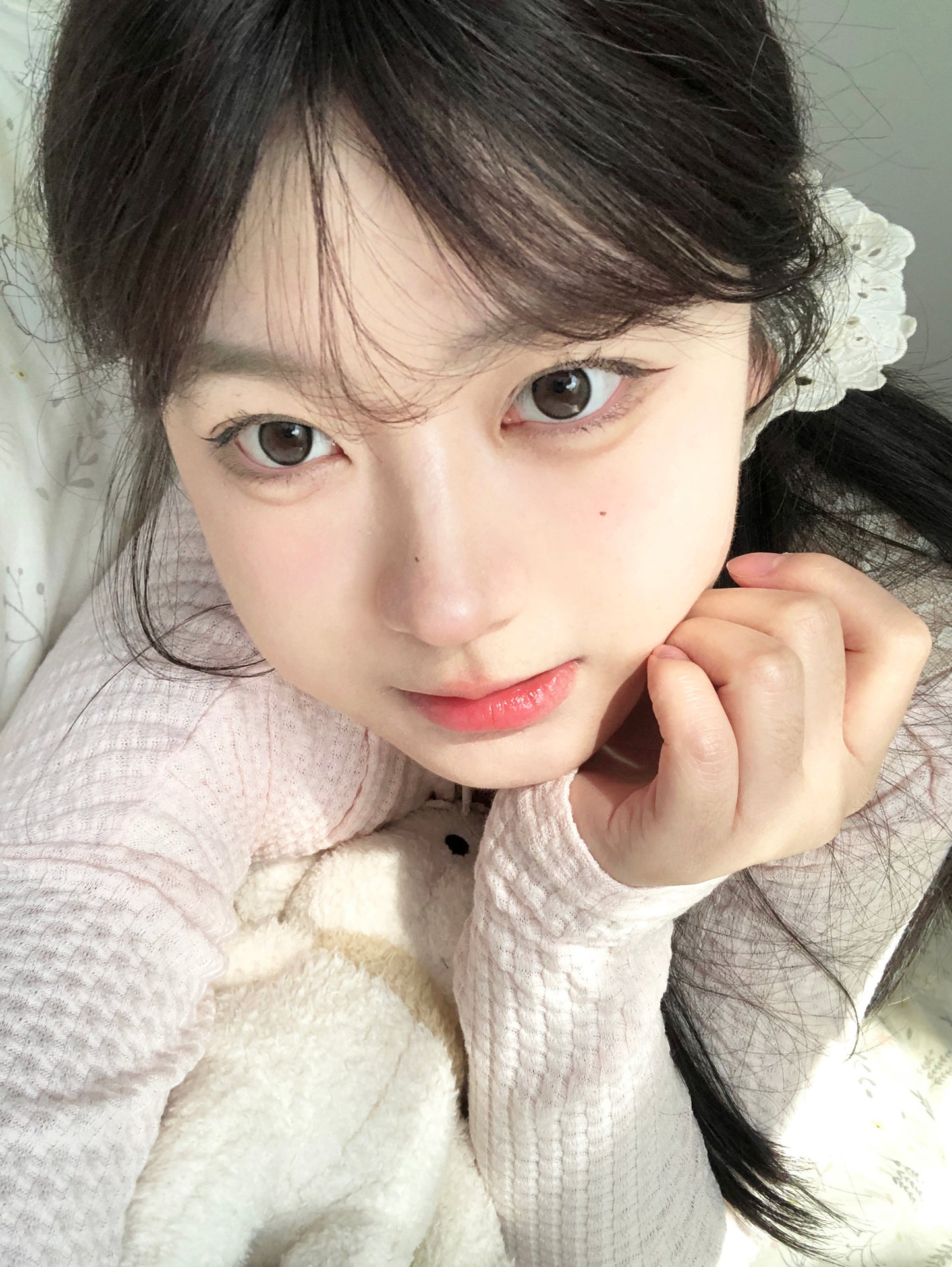 Doragina Nuts Brown 小栗泥 1 Day