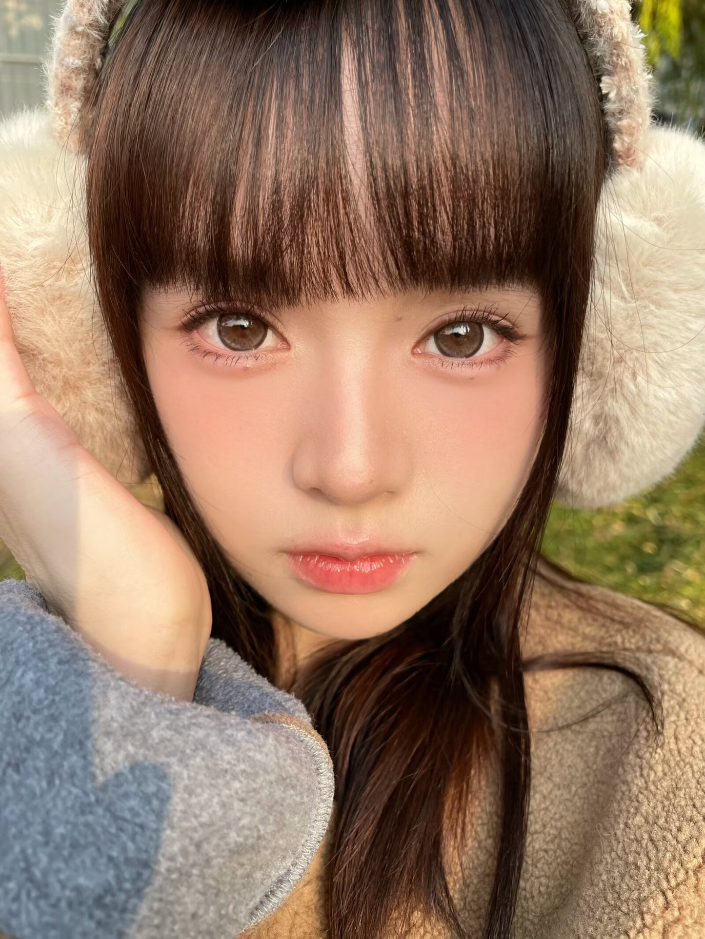 Bariecat CD-22 Brown 榛果小姐 1 Day