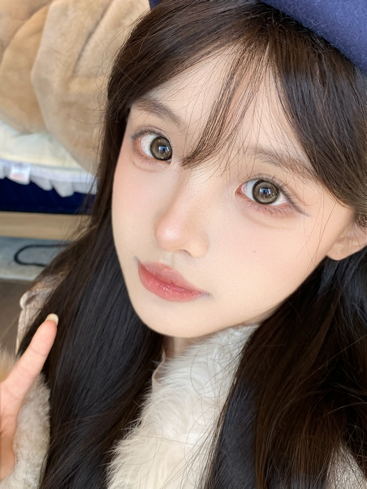 Doragina Oioi Brown 柔金茶棕