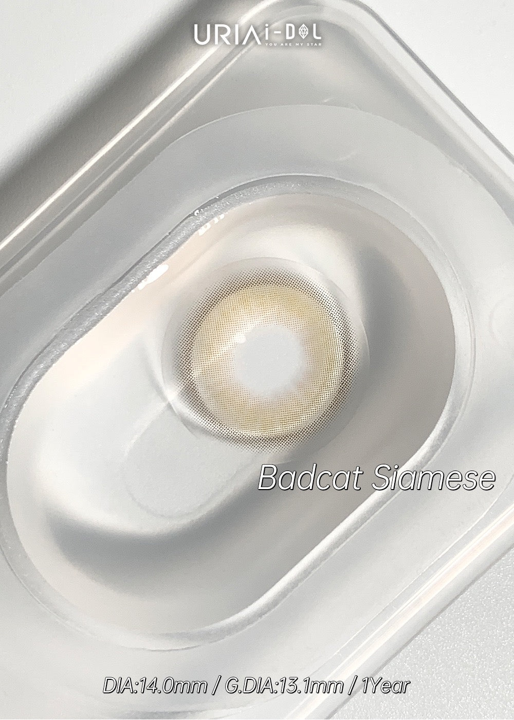 Uria I-dol Siamese Beige 暹羅棕
