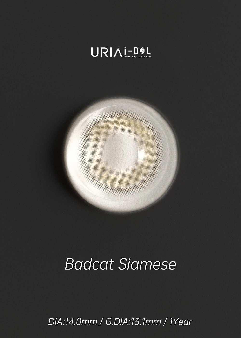 Uria I-dol Siamese Beige 暹羅棕