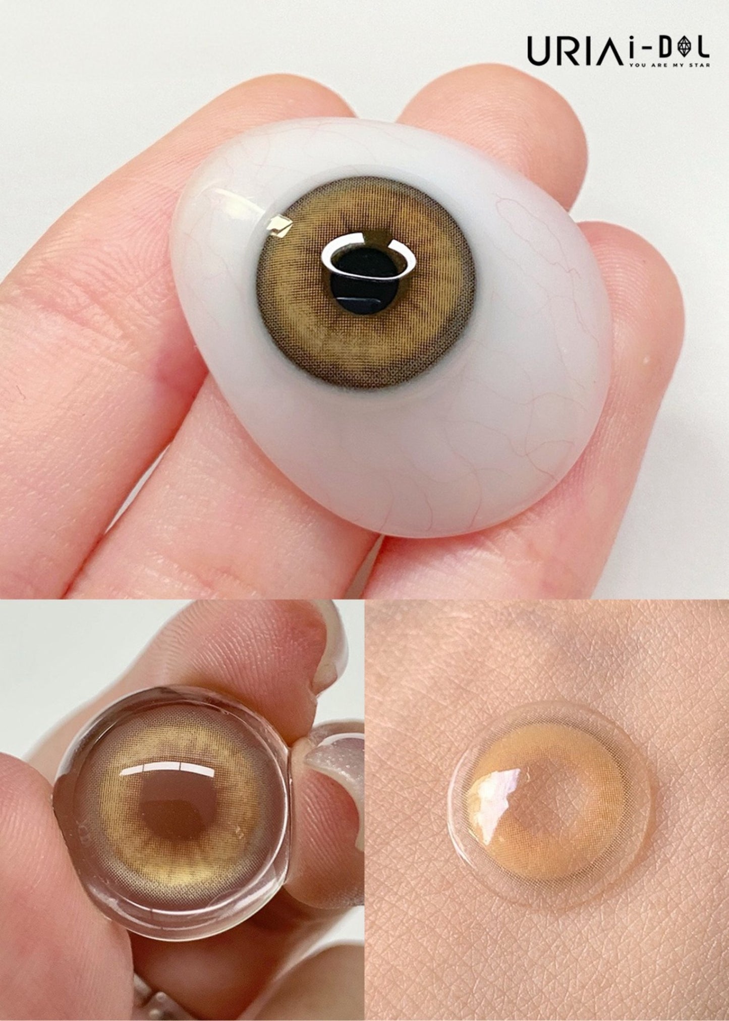 Uria I-dol Siamese Beige 暹羅棕