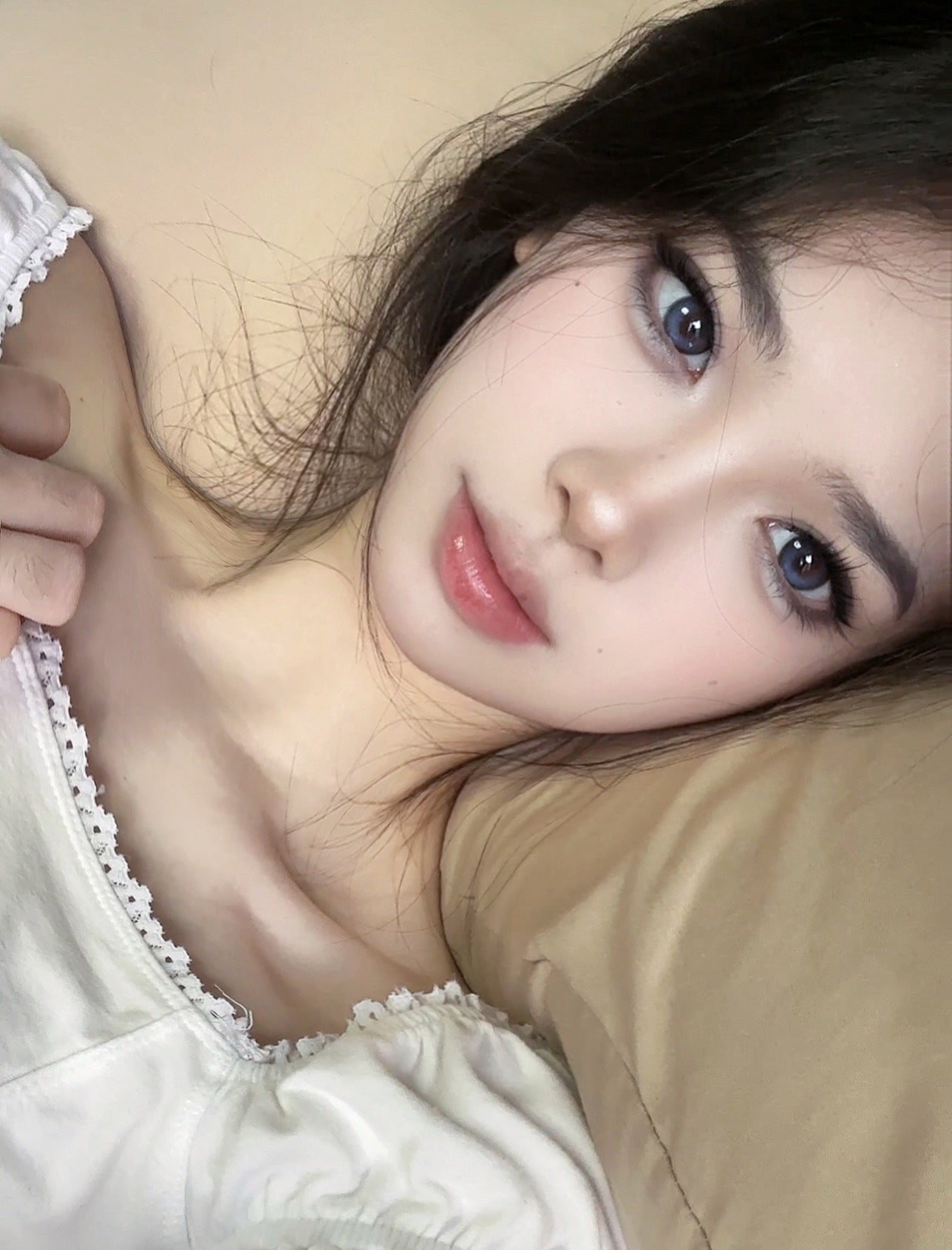 Papadox Romantic Blue 浪漫血液