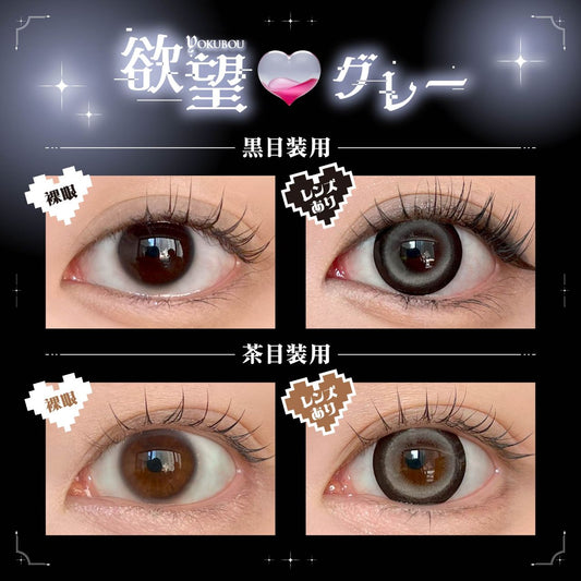 【預購】DUSTITY Yokubou Gray 1 Day 十片裝