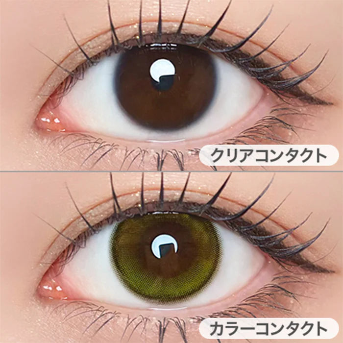 【預購】Refrear Unrolla Lunan Olive 1 Day 十片裝
