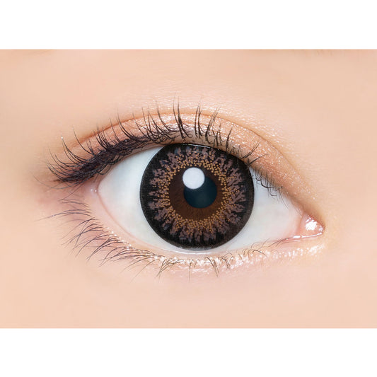 【預購】Angelcolor BAMBI SERIES Chocolat 1 Day 十片/三十片裝