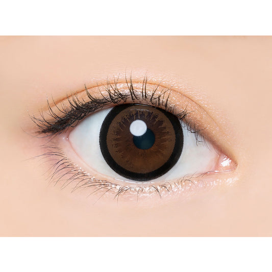 【預購】Angelcolor BAMBI SERIES Almond 1 Day 十片/三十片裝