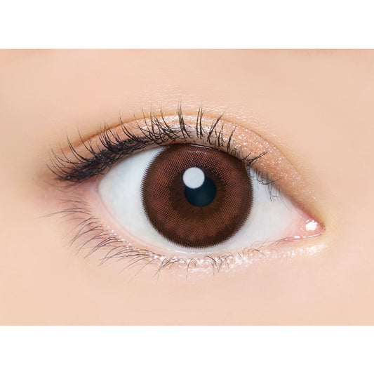 【預購】Angelcolor BAMBI SERIES Cassis Brown 1 Day 十片/三十片裝