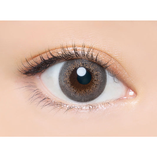 【預購】Angelcolor BAMBI SERIES Pearl Gray 1 Day 十片/三十片裝