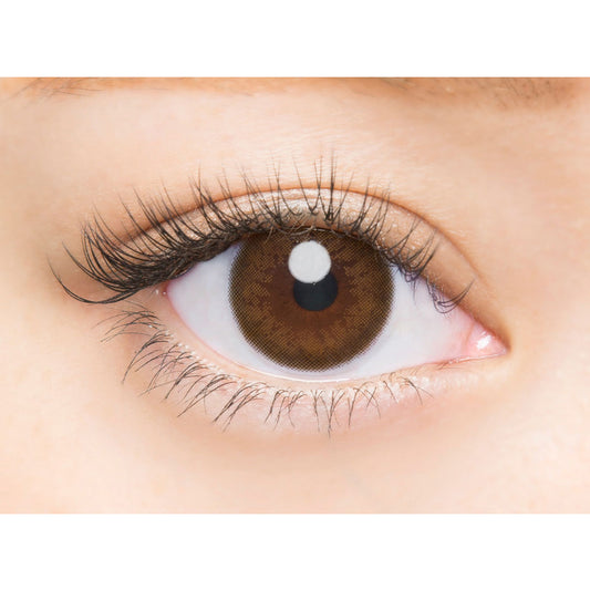 【預購】Angelcolor BAMBI SERIES Natural Brown 1 Day 十片裝