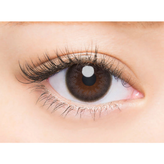 【預購】Angelcolor BAMBI SERIES Natural Black 1 Day 十片裝