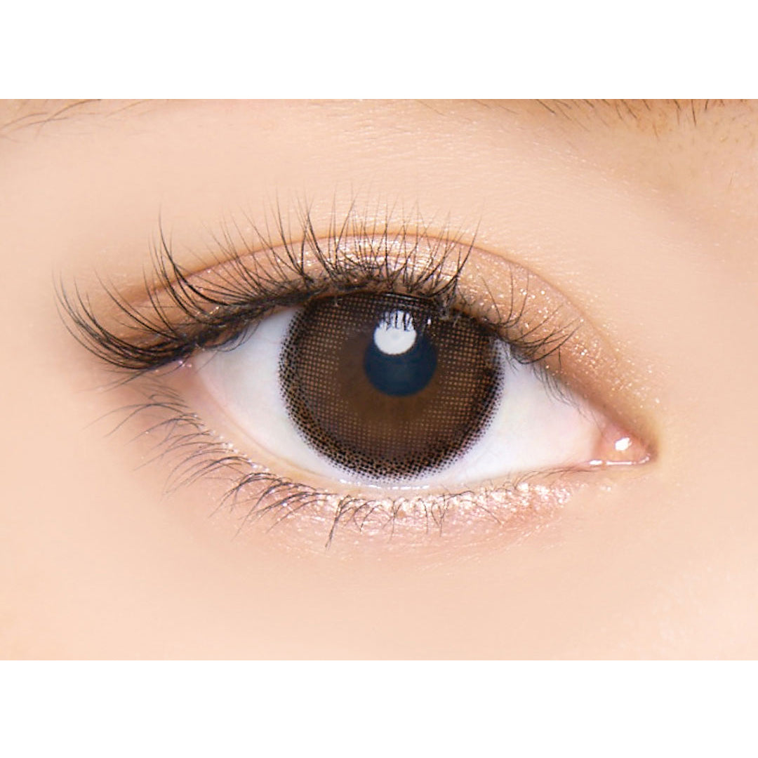 【預購】Angelcolor BAMBI SERIES Pure Brown 1 Day 十片裝