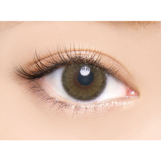 【預購】Angelcolor BAMBI SERIES Pure Olive 1 Day 十片裝