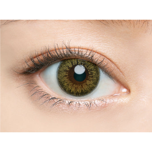 【預購】Angelcolor BAMBI SERIES Vintage Olive 1 Day 十片裝