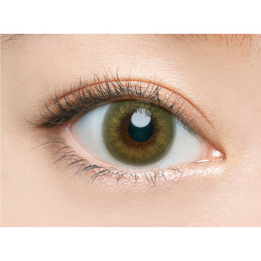 【預購】Angelcolor BAMBI SERIES Vintage Pistachio 1 Day 十片裝