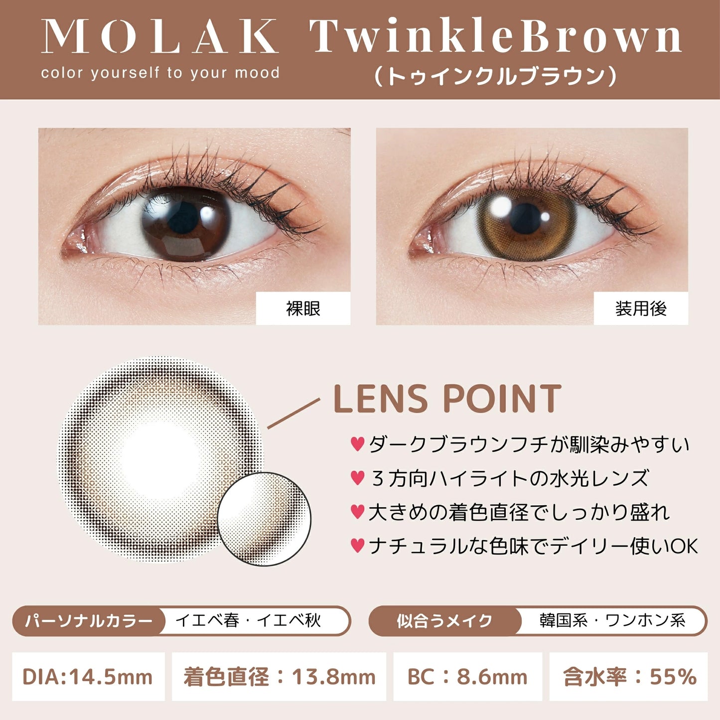 【預購】MOLAK Twinkle Brown 1 Day 十片裝