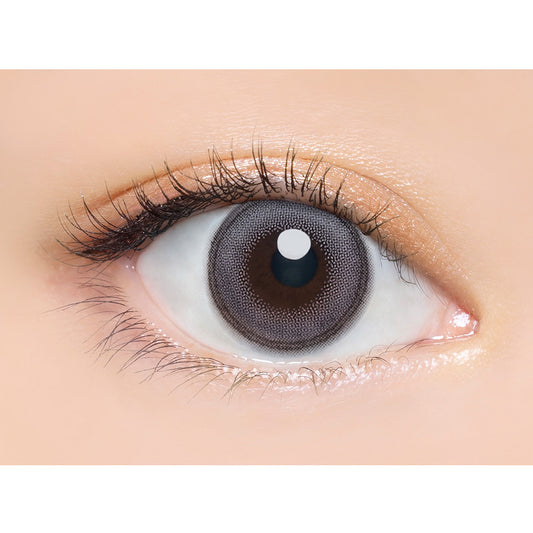 【預購】Angelcolor BAMBI SERIES Swan Gray 1 Day 十片/三十片裝