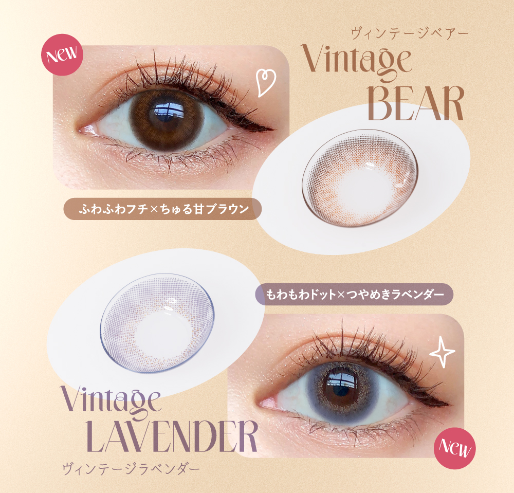 【預購】Angelcolor BAMBI SERIES Vintage Lavender 1 Day 十片裝