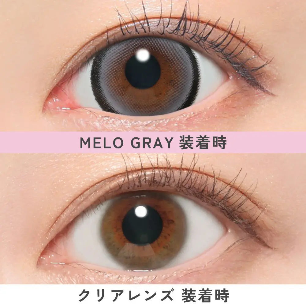 【預購】FABULOUS Melo Gray 1 Day 十片裝