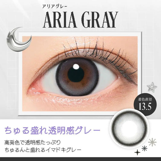 【預購】RIARIA Aria Gray 1 Day 十片裝