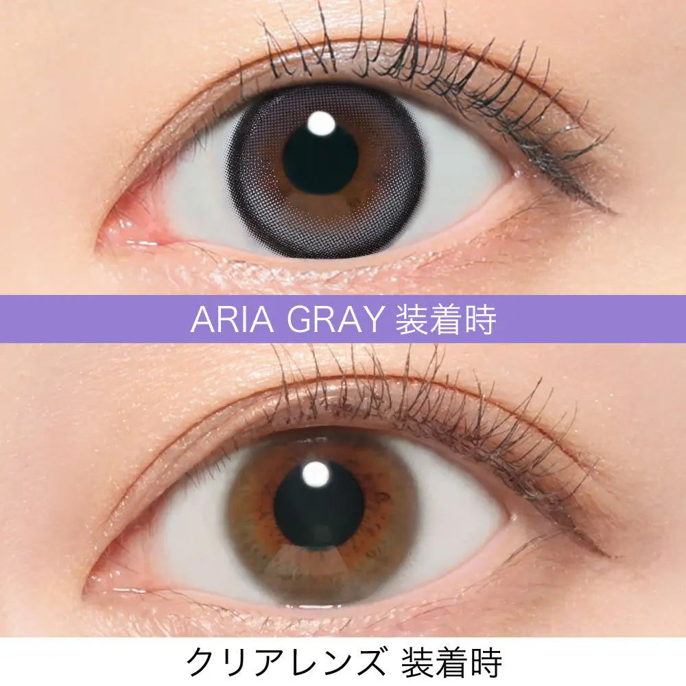 【預購】RIARIA Aria Gray 1 Day 十片裝