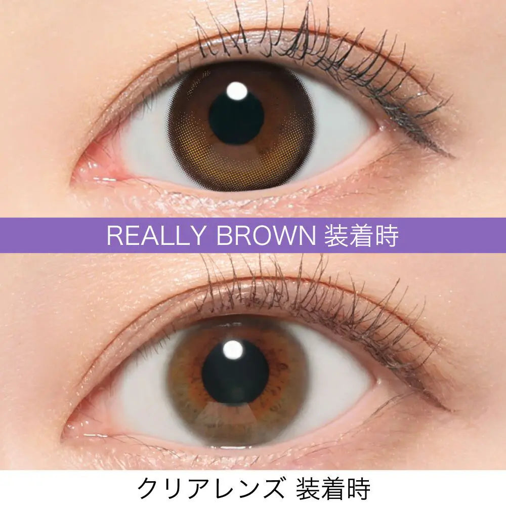 【預購】RIARIA Really Brown 1 Day 十片裝