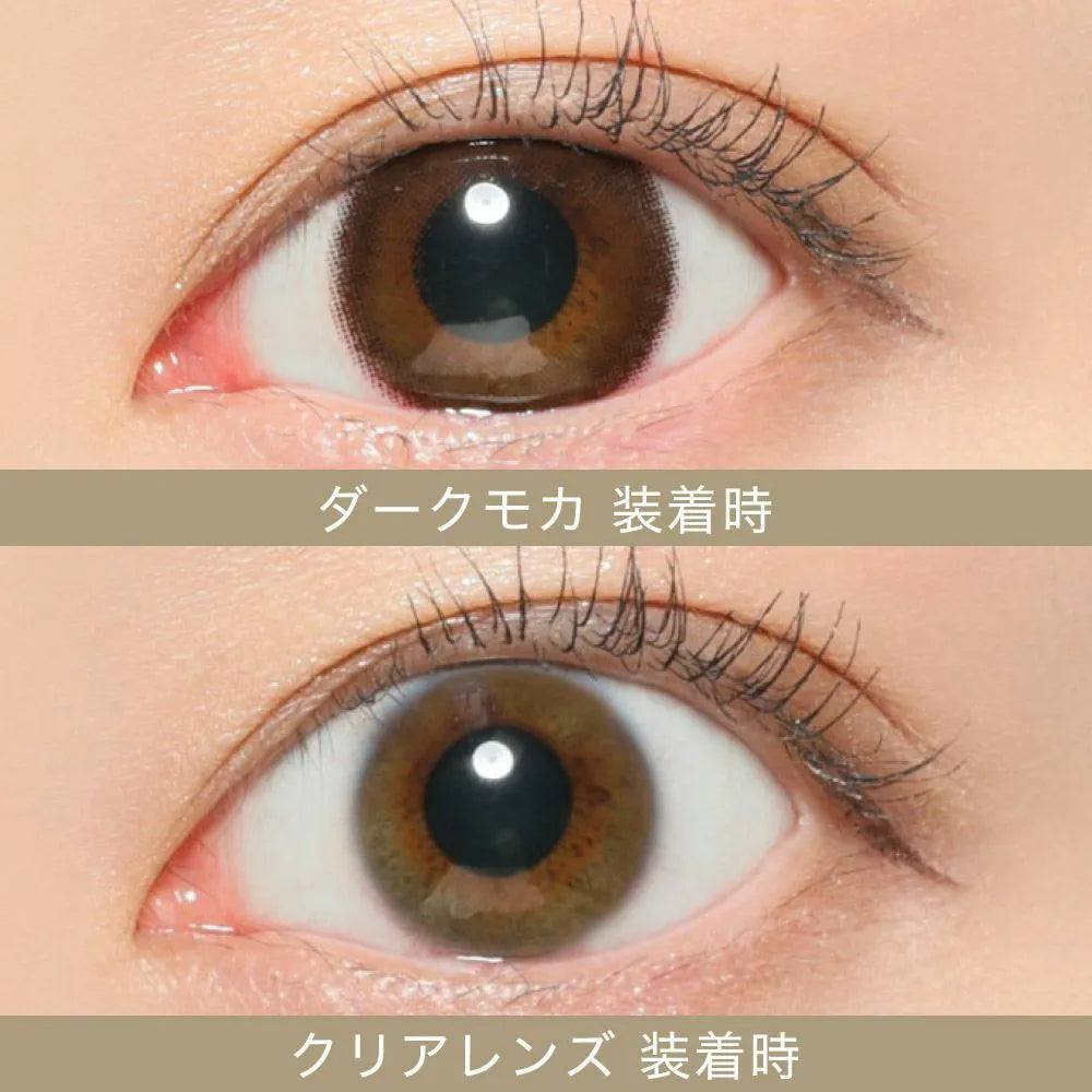 【預購】SECRET CANDY MAGIC Dark Mocha 1 Day 二十片裝