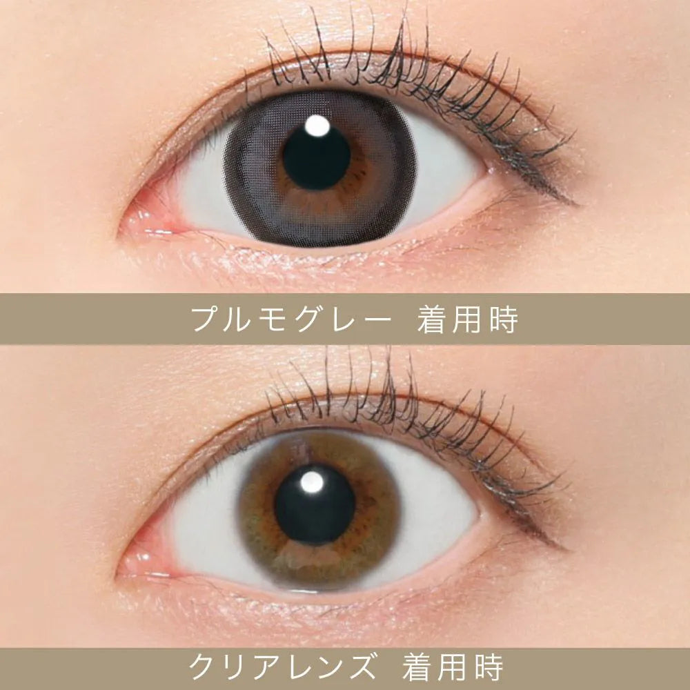 【預購】SECRET CANDY MAGIC Pulmo Gray 1 Day 二十片裝