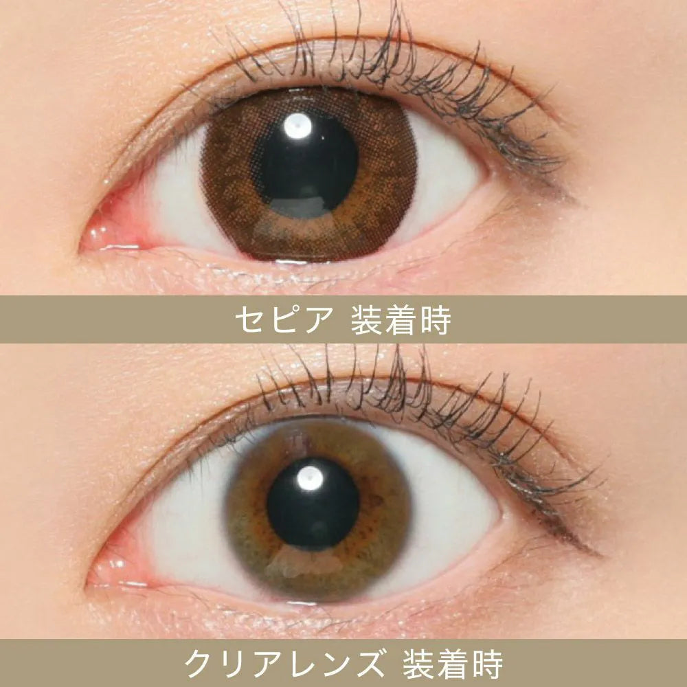 【預購】SECRET CANDY MAGIC Sepia 1 Day 二十片裝