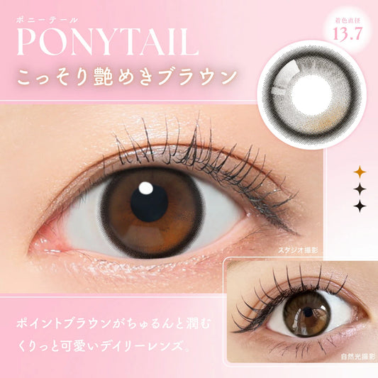 【預購】【固定高光】SIE Ponytail 1 Day 十片裝