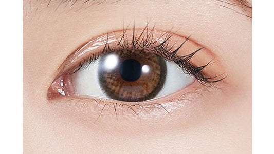 【預購】MOLAK Brown Bunny 1-Month 兩片裝