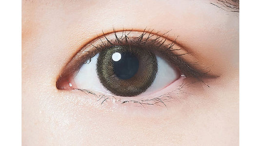 【預購】FOMOMY Shining Series Marron 1 Day 十片裝