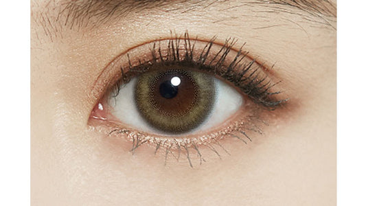 【預購】FOMOMY Iris Series Honey Tan 1 Day 十片裝