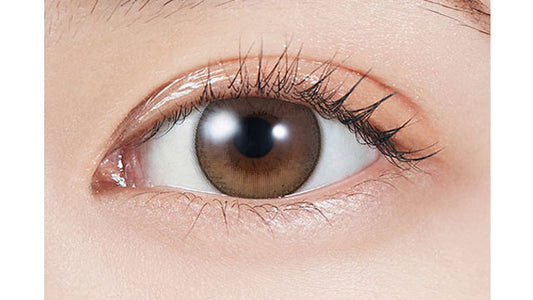 【預購】MOLAK Dollish Brown 1-Month 兩片裝