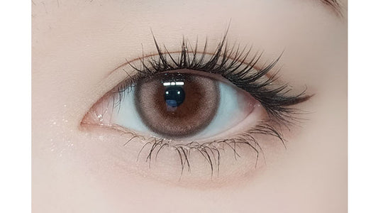 【預購】FOMOMY Magic Series Magic Coral 1 Day 十片裝