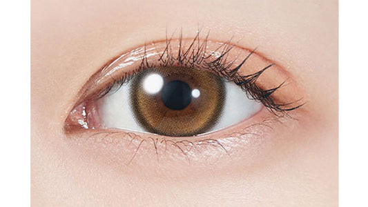 【預購】MOLAK Twinkle Brown 1-Month 兩片裝