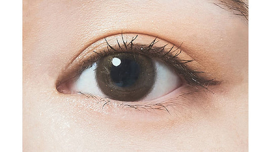 【預購】FOMOMY Shining Series Shine Brown 1 Day 十片裝