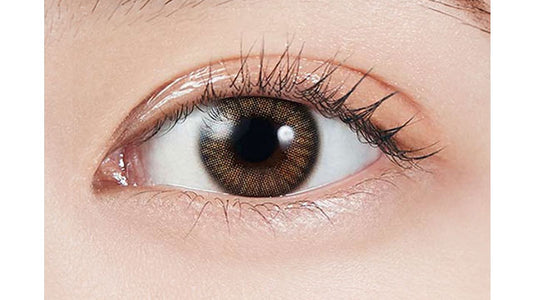 【預購】MOLAK Coral Brown 1 Day 十片裝