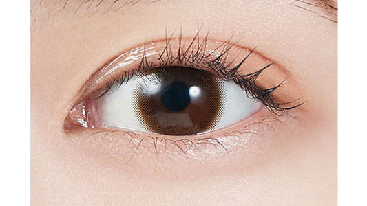 【預購】MOLAK Tint Brown 1 Day 十片裝