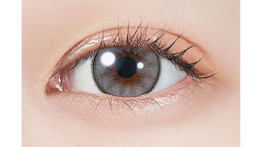 【預購】MOLAK Dream Gray 1 Day 十片裝