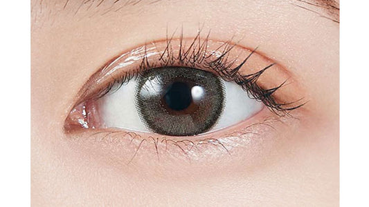 【預購】MOLAK Dazzle Gray 1 Day 十片裝