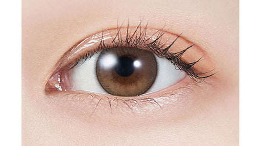 【預購】MOLAK Dollish Brown 1 Day 十片裝